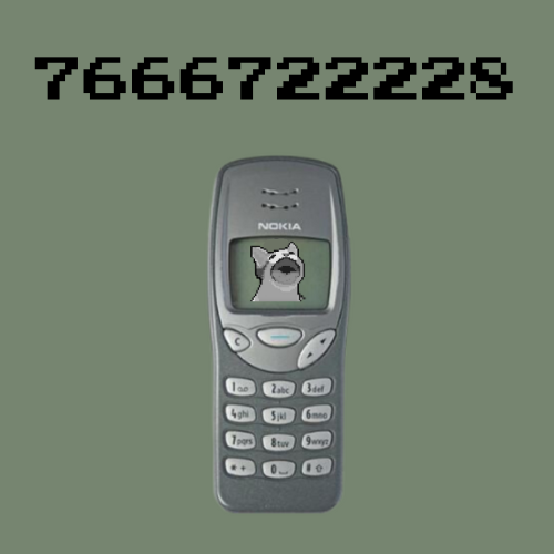 7666722228
