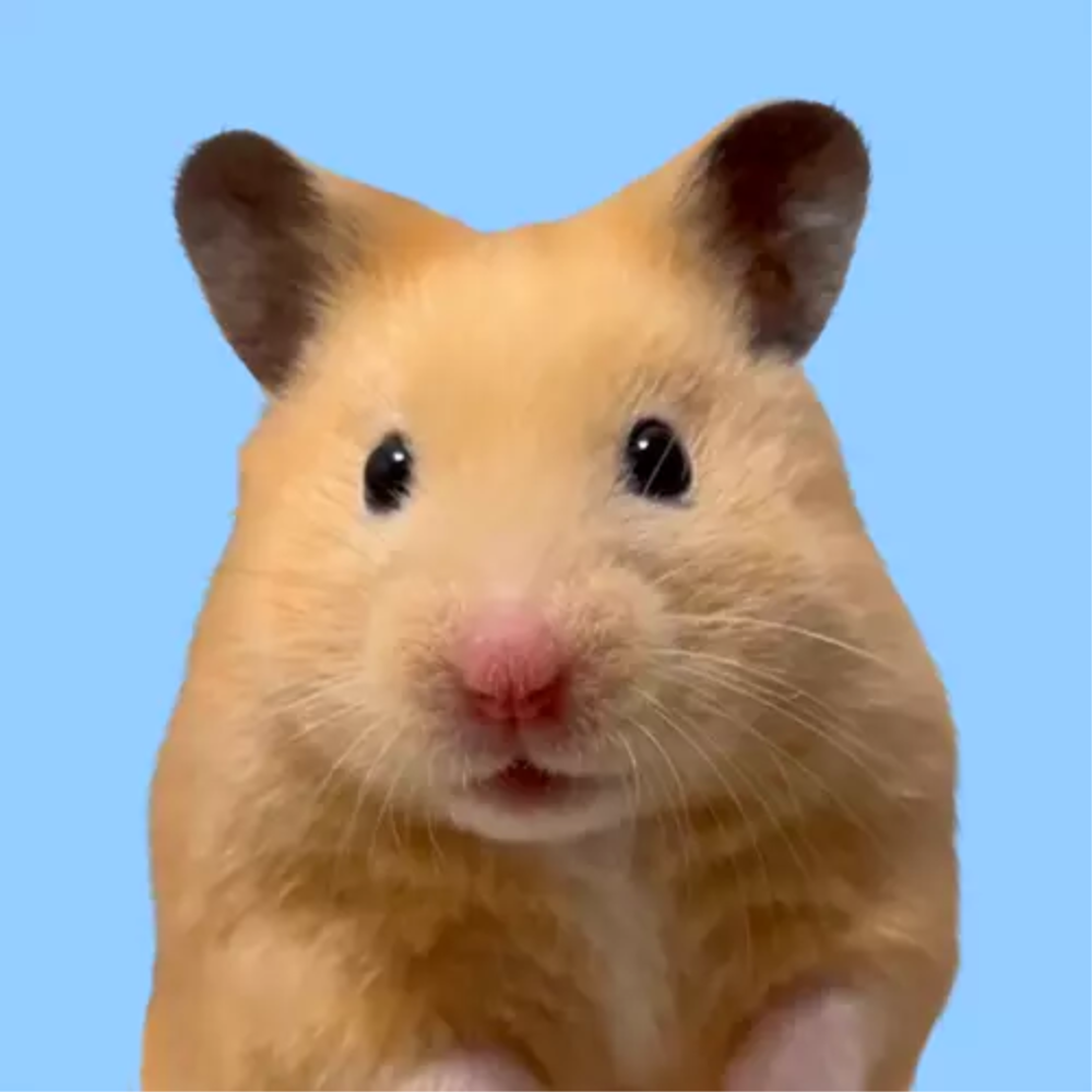 KUTO