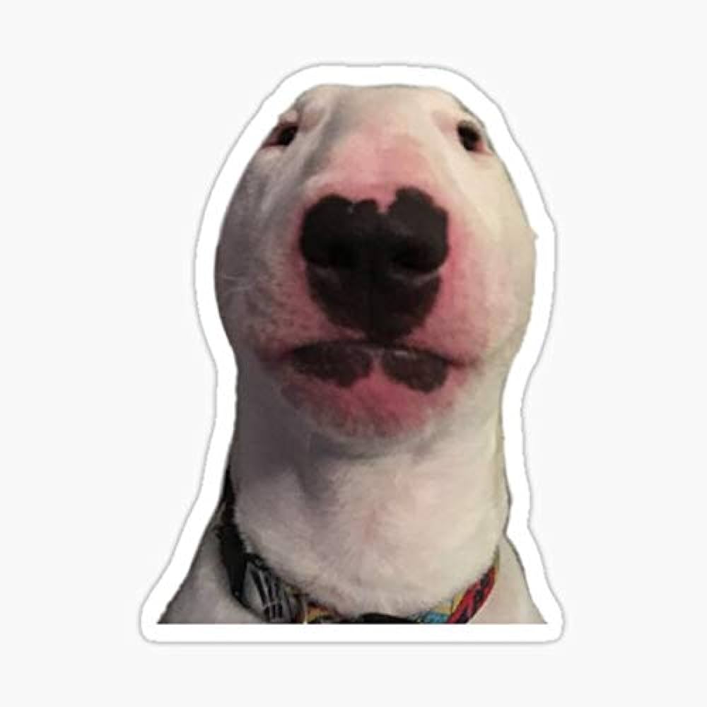 WALTER