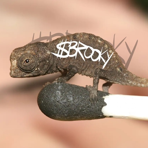 BROOKY