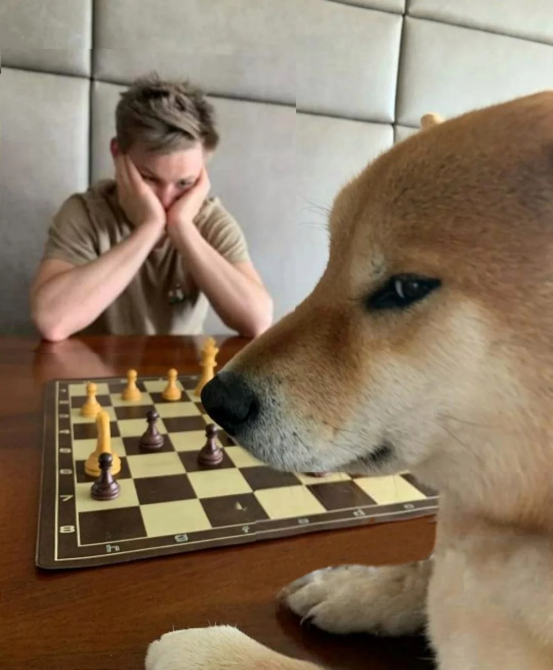 CHECKMATE