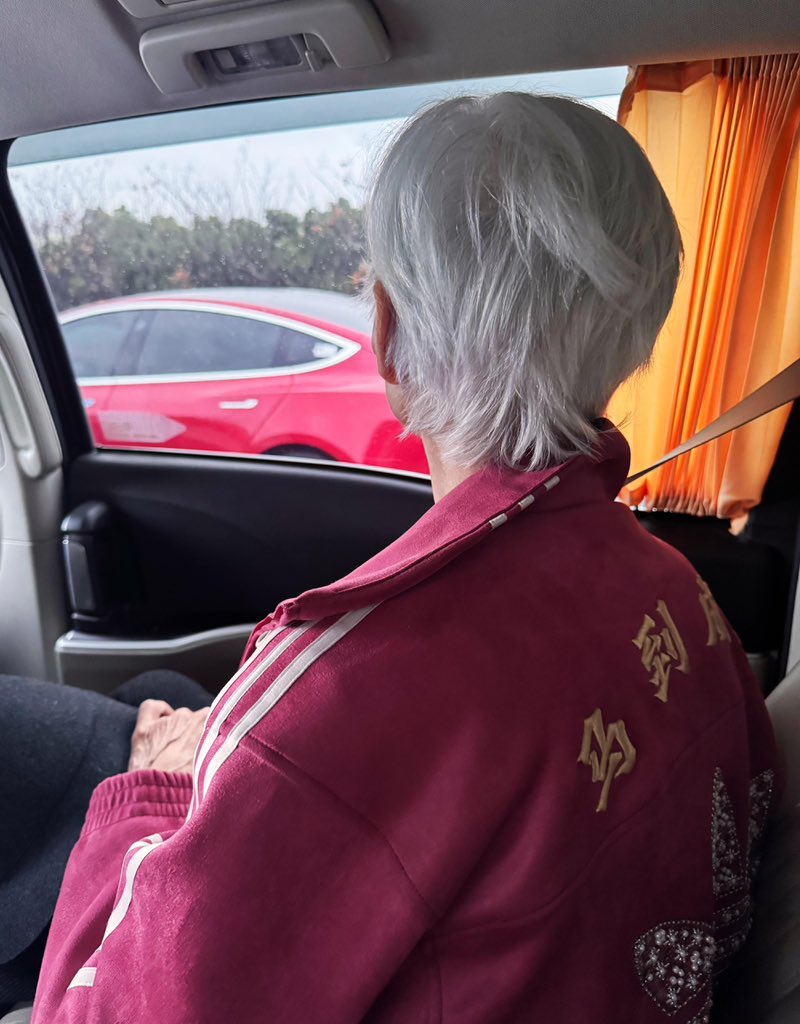 马到成功
