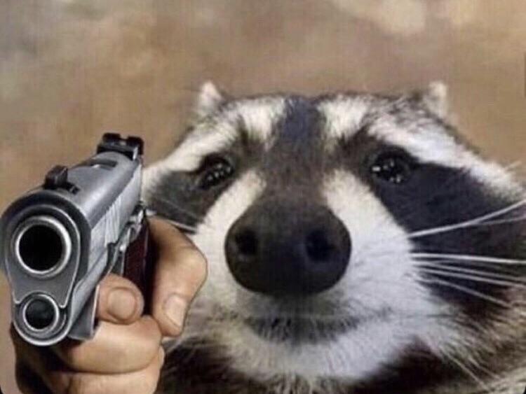 COONWIFGUN