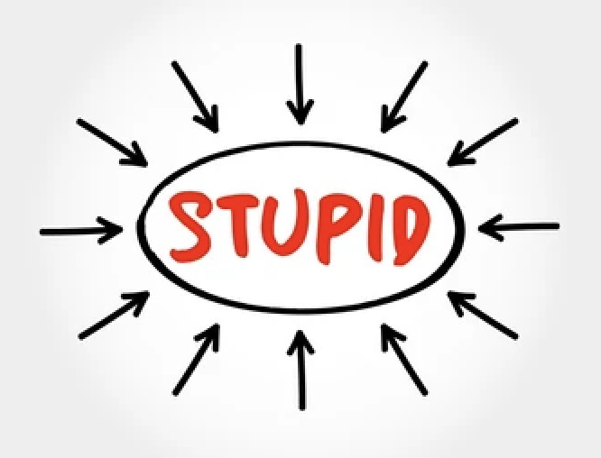 Stupid