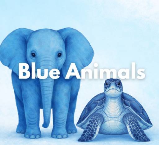 ANIMALS