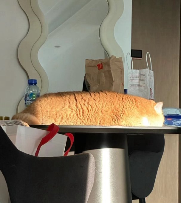 CatBread