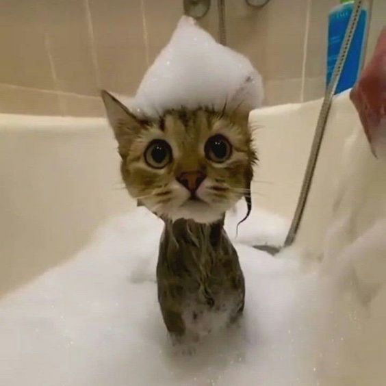 washy