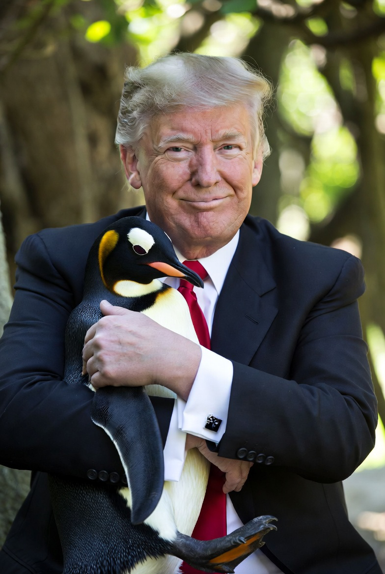 LovePengu
