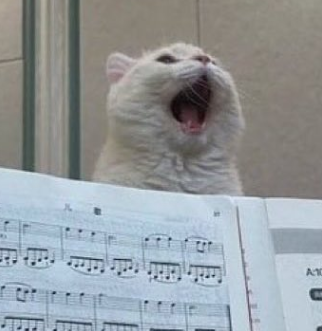 meowger