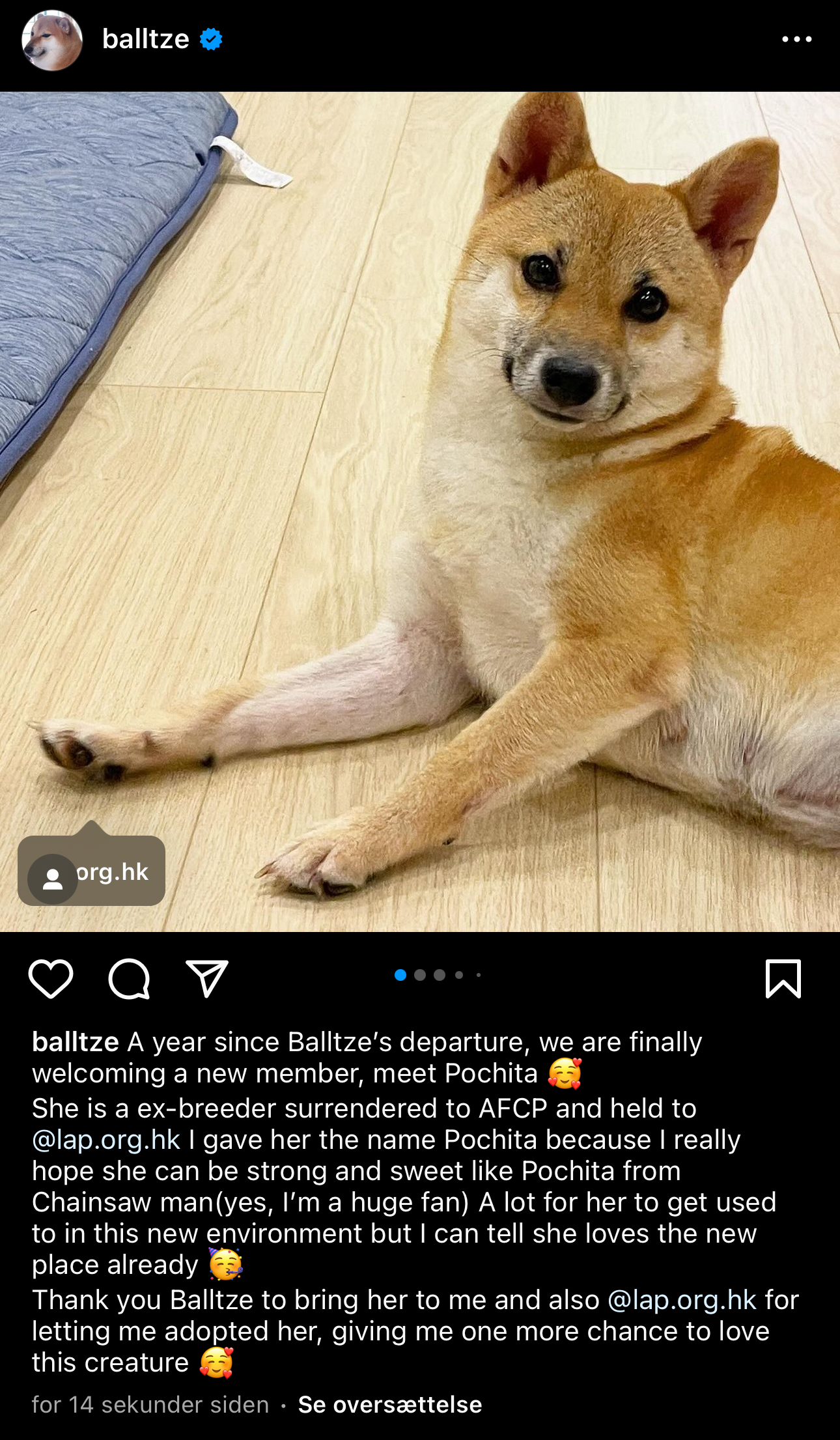 POCHITA