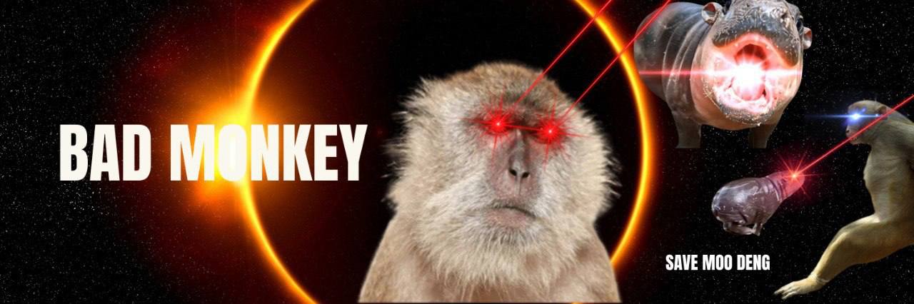 MONKEY