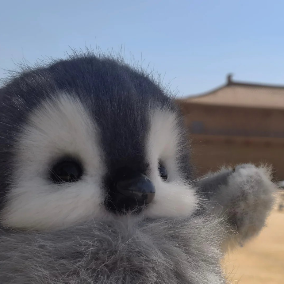 pengu