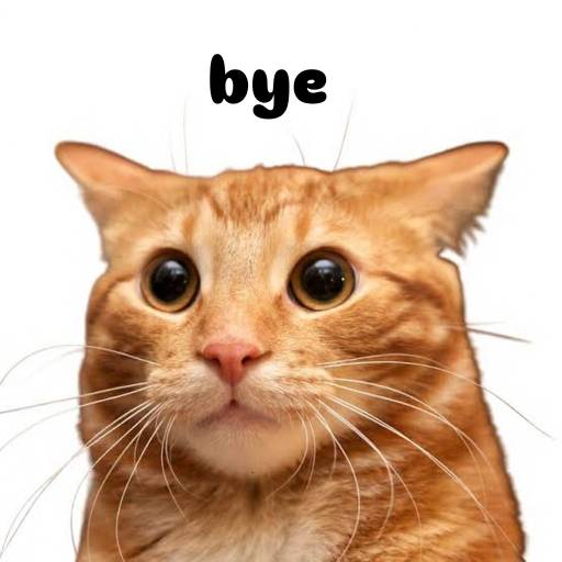 BYE
