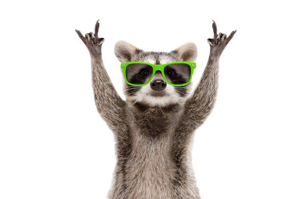 Rockoon