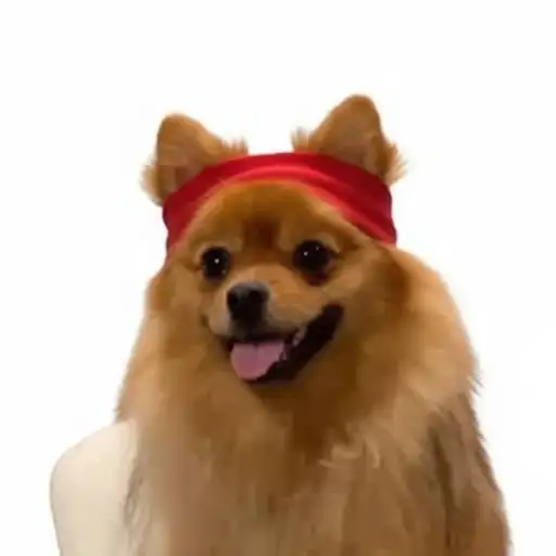 MIMI