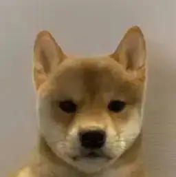 INU