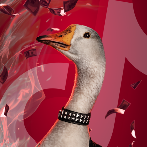 HONK