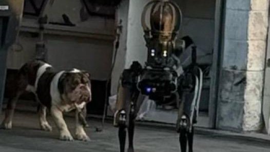 robodog