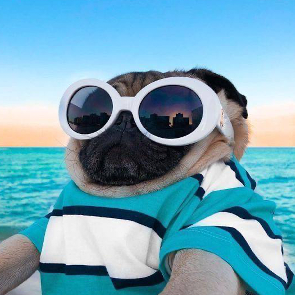 PUG