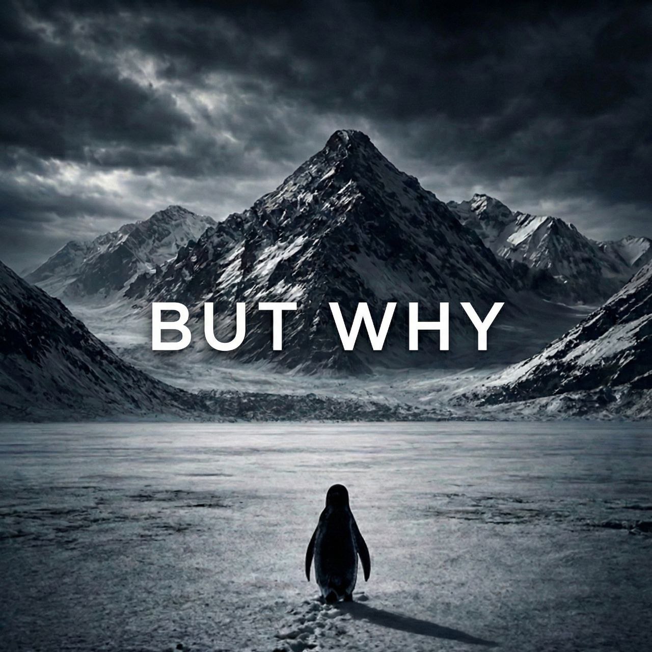 Why
