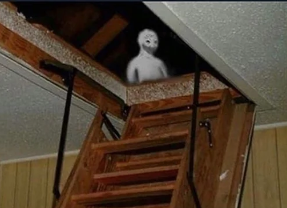 pat