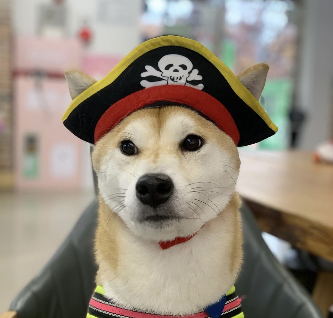 ARRR