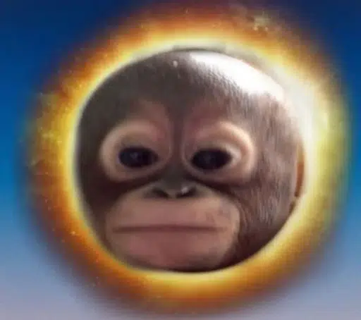 CHAJUG