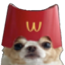 MCDOG