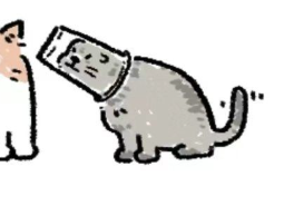cupcat