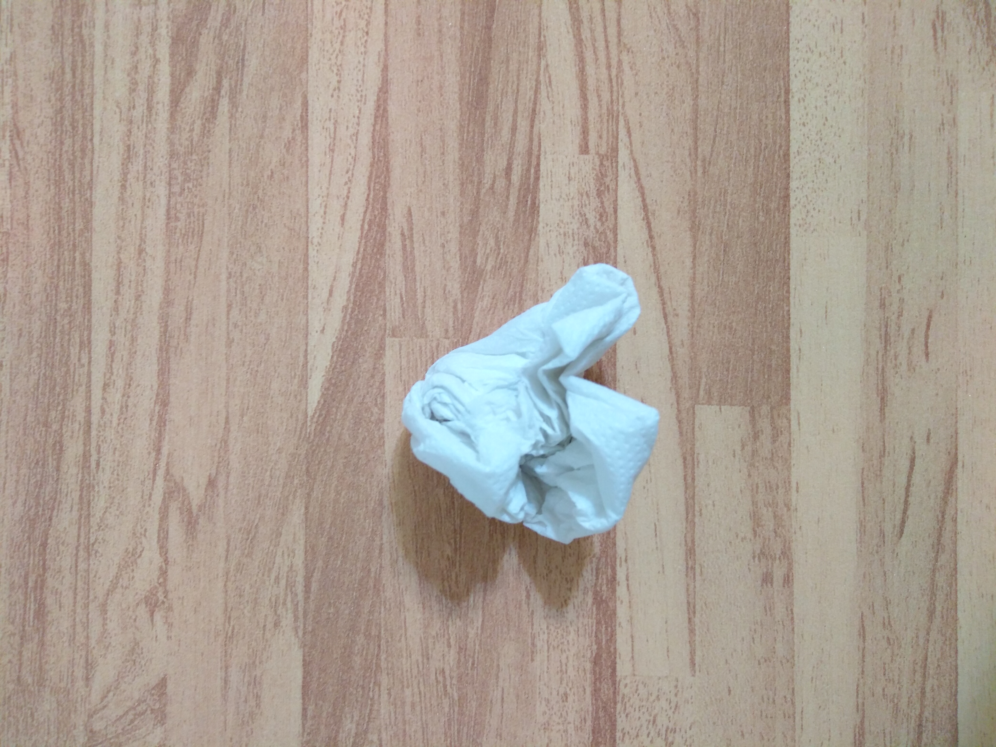 Tissue