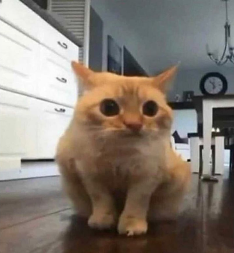Poowa