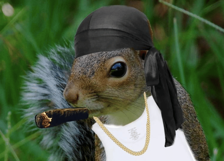 NIGGA