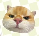坡坡