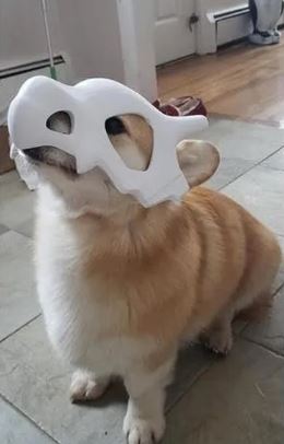 BONER