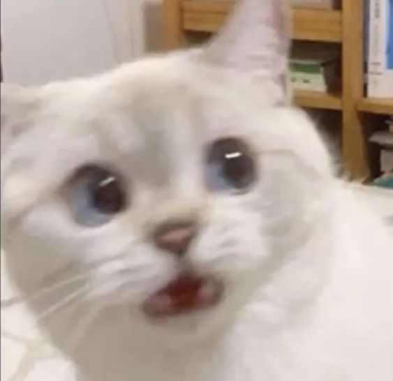 omg