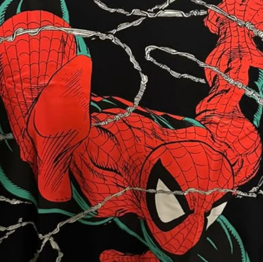 SPIDER