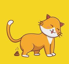 catpoop