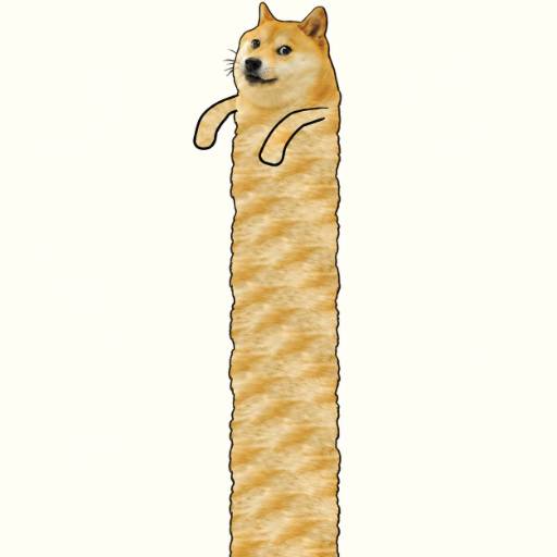 DOGE