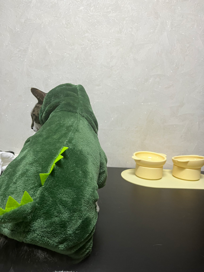 dinocat
