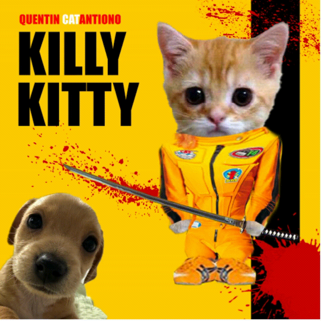 KILLKITTAi