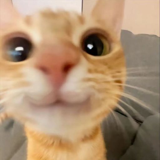 HAI