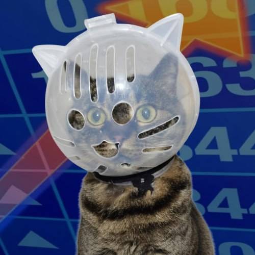 Mask