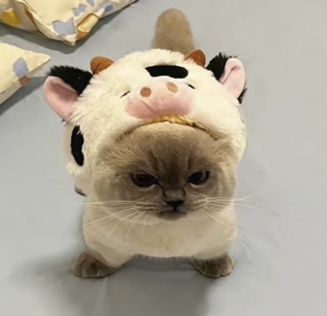 MOO