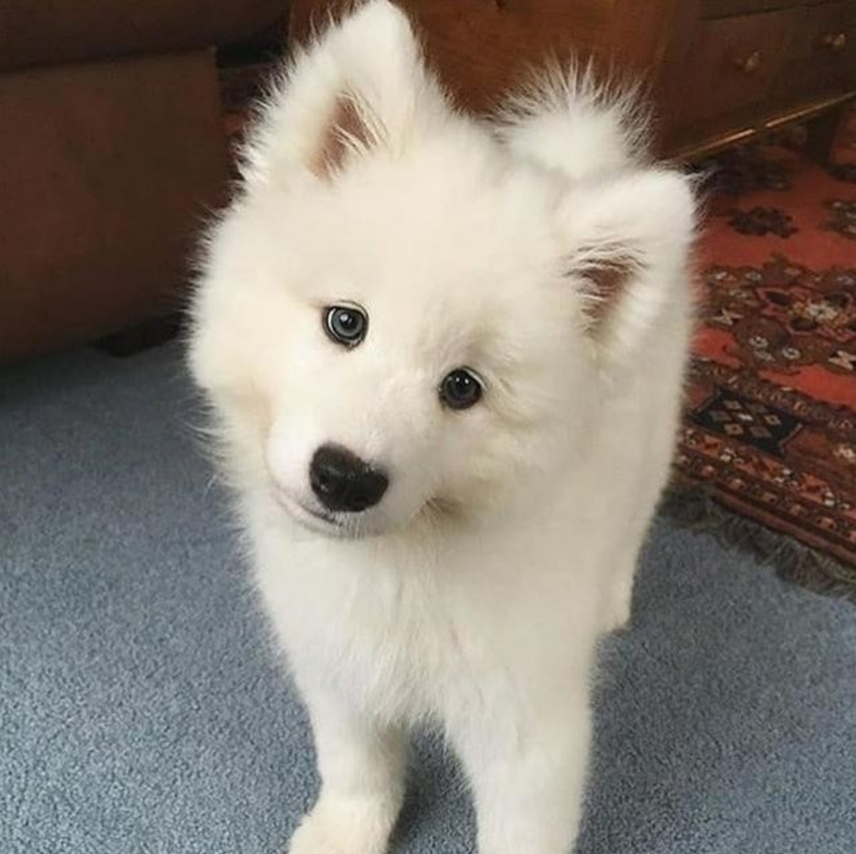 Luna