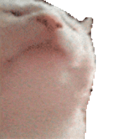 VCAT