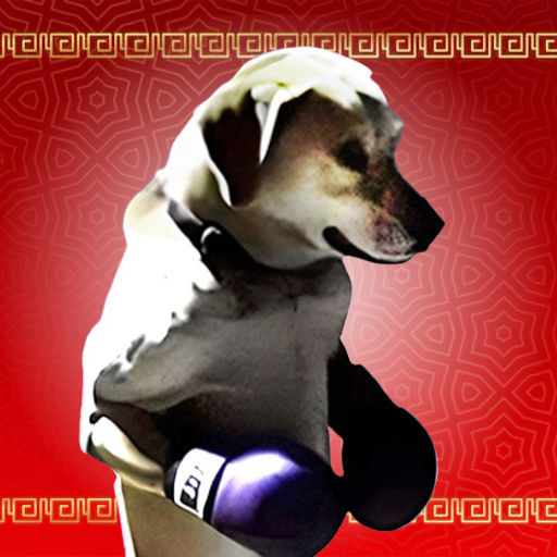 Boxer