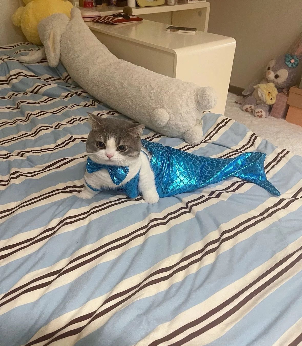 MERM