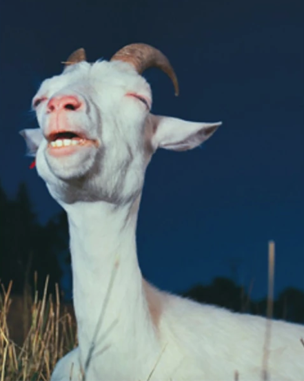 GOAT