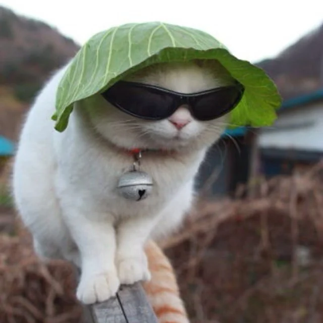 CATL