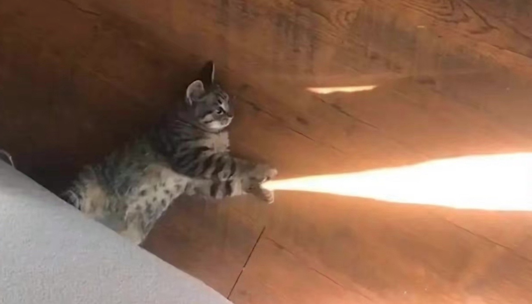Catehameha